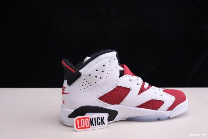 Cheap TB 2021 'CARMINE' JORDAN 6 AIR CT8529-106 RETRO 0729